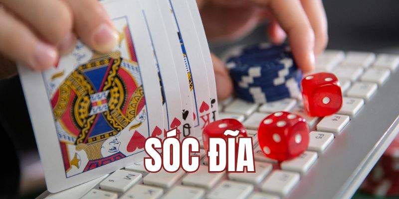 Sóc Đĩa W88